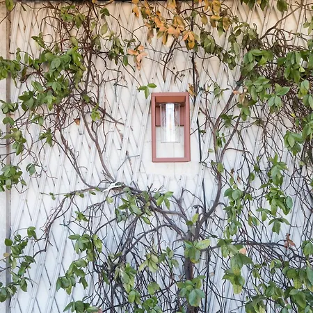 Savoia Luxury Penthouse Rzym